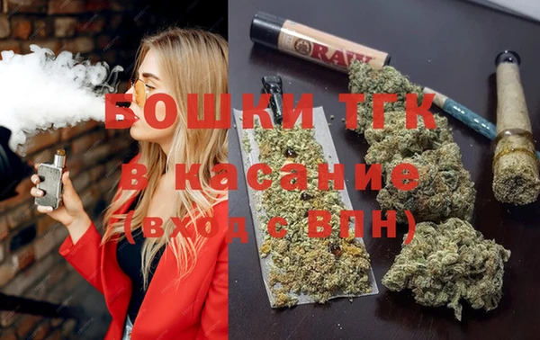 прущие грибы Сосновоборск