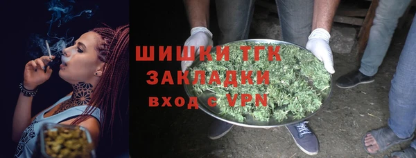шишки Горно-Алтайск