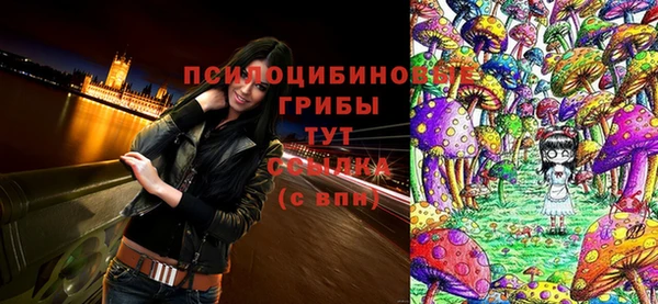 мет Горнозаводск