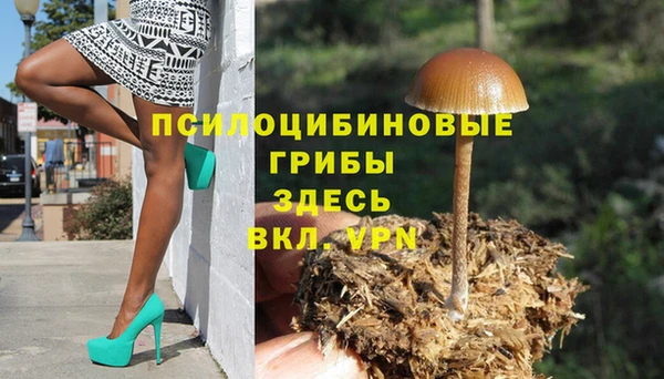 мескалин Горняк
