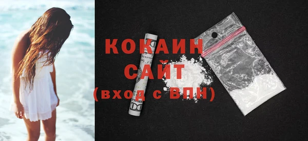 шишки Горно-Алтайск