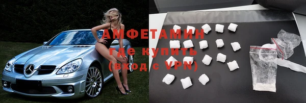 шишки Горно-Алтайск