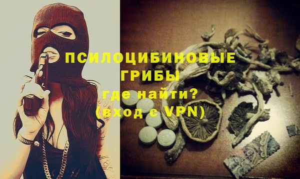 МДПВ Сосновый Бор