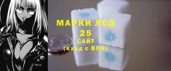 шишки Горно-Алтайск