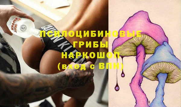 шишки Горно-Алтайск