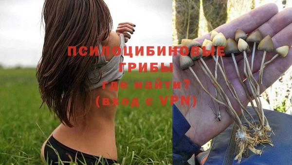 мескалин Горняк
