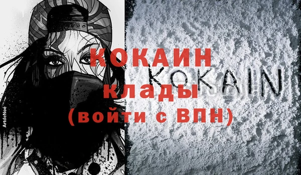 шишки Горно-Алтайск