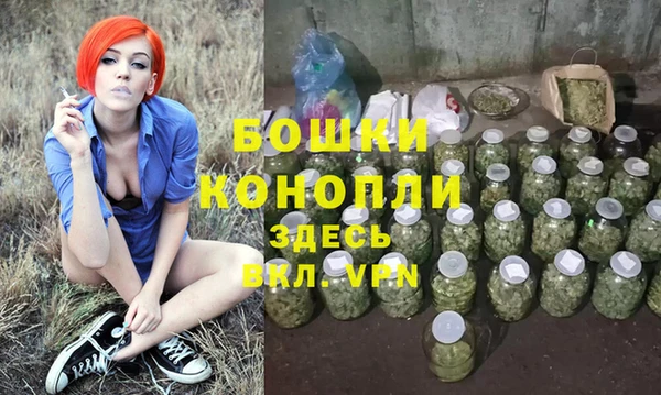 прущие грибы Сосновоборск