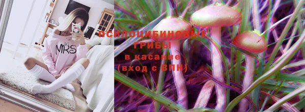 шишки Горно-Алтайск