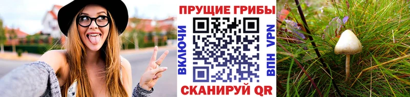Галлюциногенные грибы мухоморы  ОМГ ОМГ маркетплейс  это состав  Голицыно 